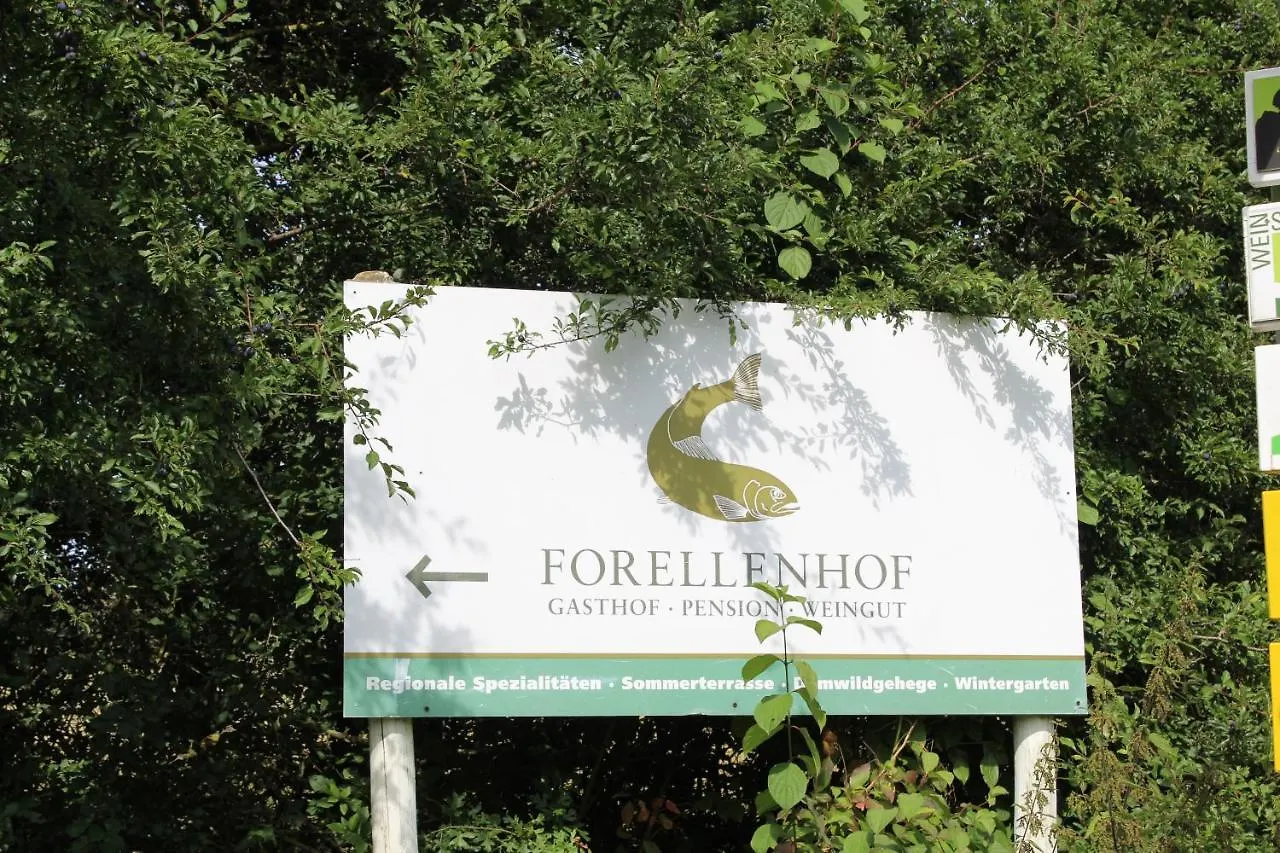 Apartment Ferienwohnung Forellenhof Oberschwarzach